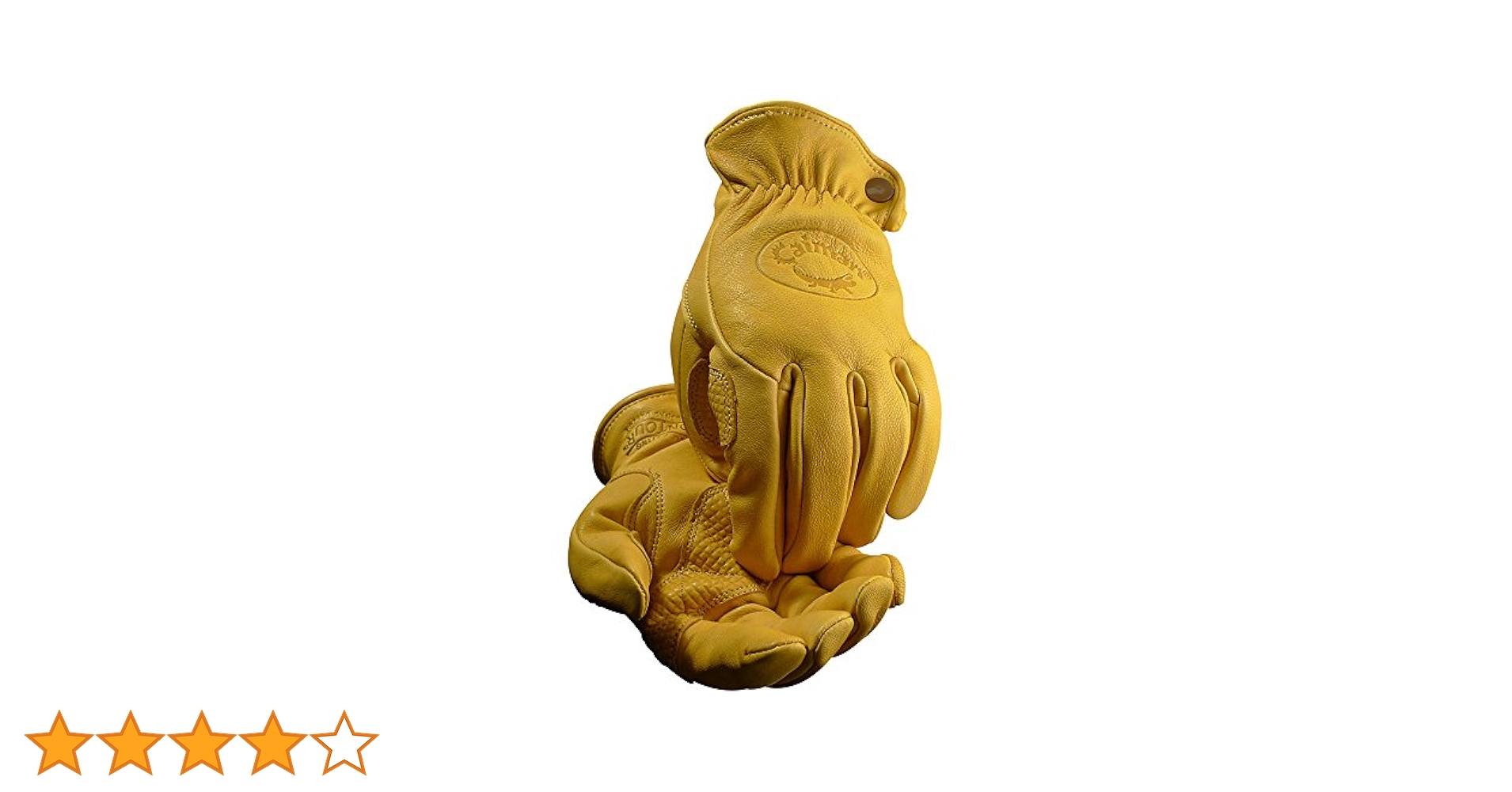 Amazon.co.jp: Caiman カイマン レザーグローブ（革手袋